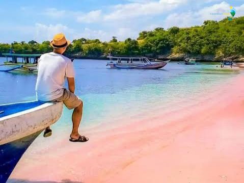 Panorama Pantai Pink Lombok