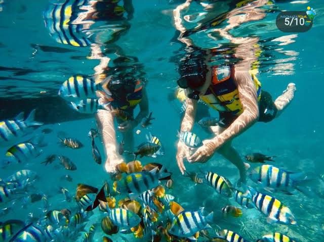 Snorkeling di Gili Petelu